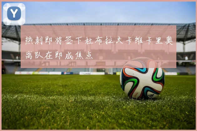 热刺即将签下杜布拉夫卡维卡里奥离队在即成焦点