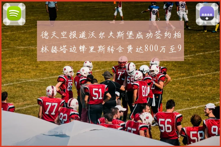 德天空报道沃尔夫斯堡成功签约柏林赫塔边锋里斯转会费达800万至900万欧元